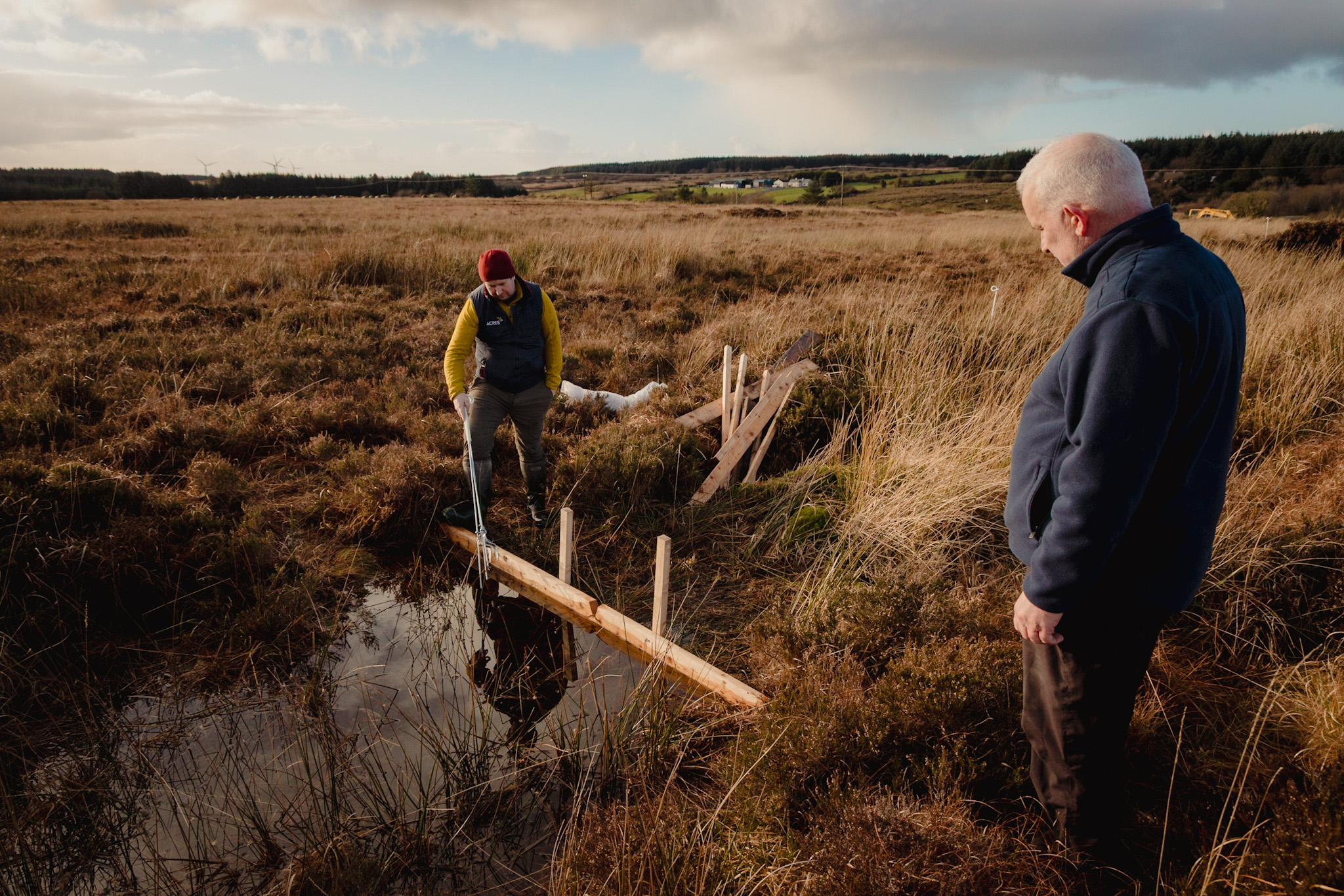Timber Dams — 2